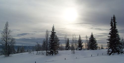 weihnachten-norwegen-flickr-afroese