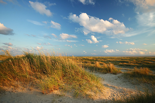 Fanø - Ferienhaus am Strand flickr kuemmi