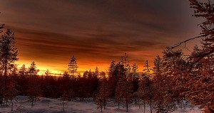 Weihnachtsdorf in Rovaniemi flickr @ninja gecko