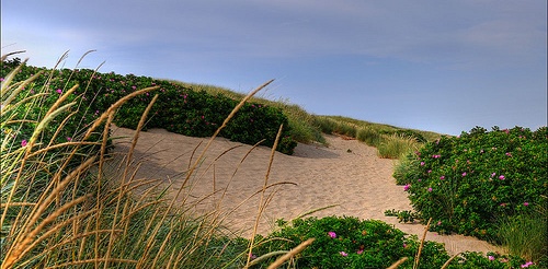 Dänemark Strand Urlaub flickr @ Romtomtom