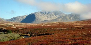 Wandern in Rondane flickr @johan seland