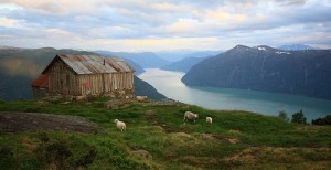 Fjord-Rundreisen Sognefjord flickr (c) Red Junasun