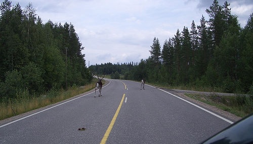 Autofahren in Finnland flickr (c) hage