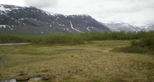 Lappland in Schweden (c) reiseidylle