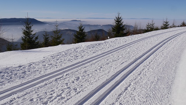 Ski Langlauf in Schweden